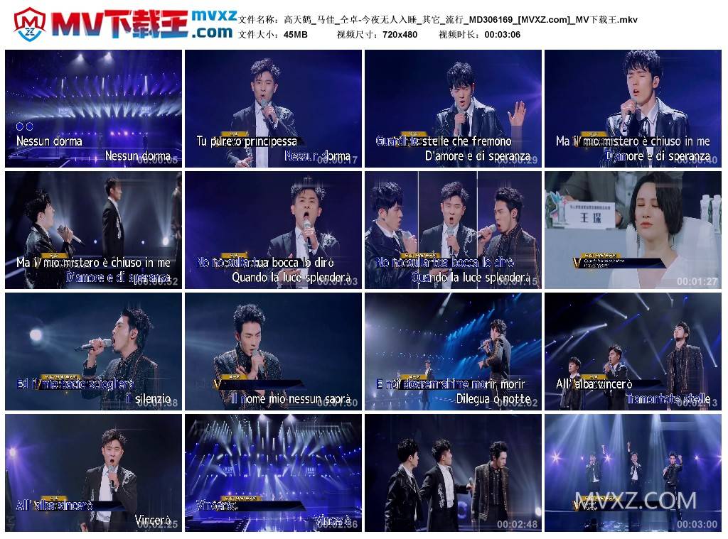 高天鹤_马佳_仝卓-今夜无人入睡_其它_流行_MD306169